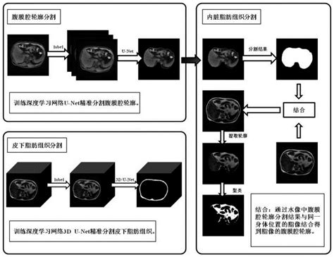 腹部肥胖分析